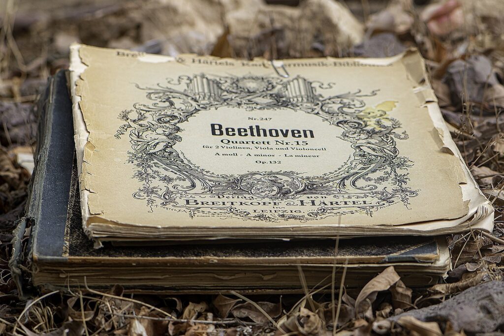 Sağır Olan Beethoven Nasıl Beste Yaptı
